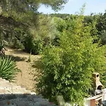Pinede Man Yelle Daire